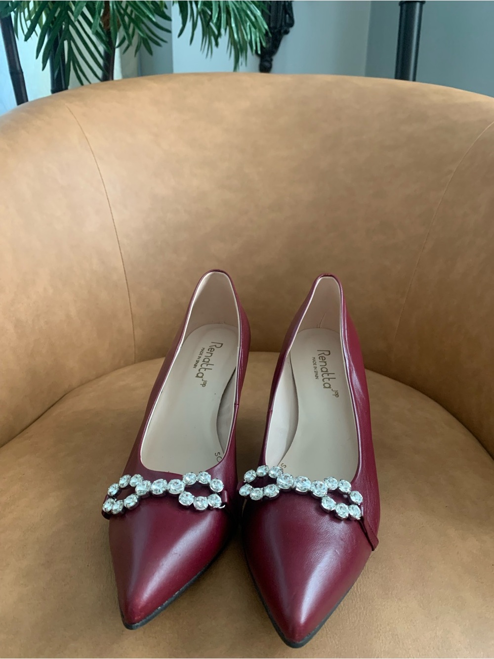 Burgundy Embellished Pointed Toe Pumps -